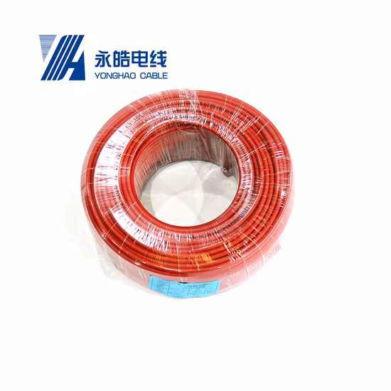 TUV認定ブランドPV1